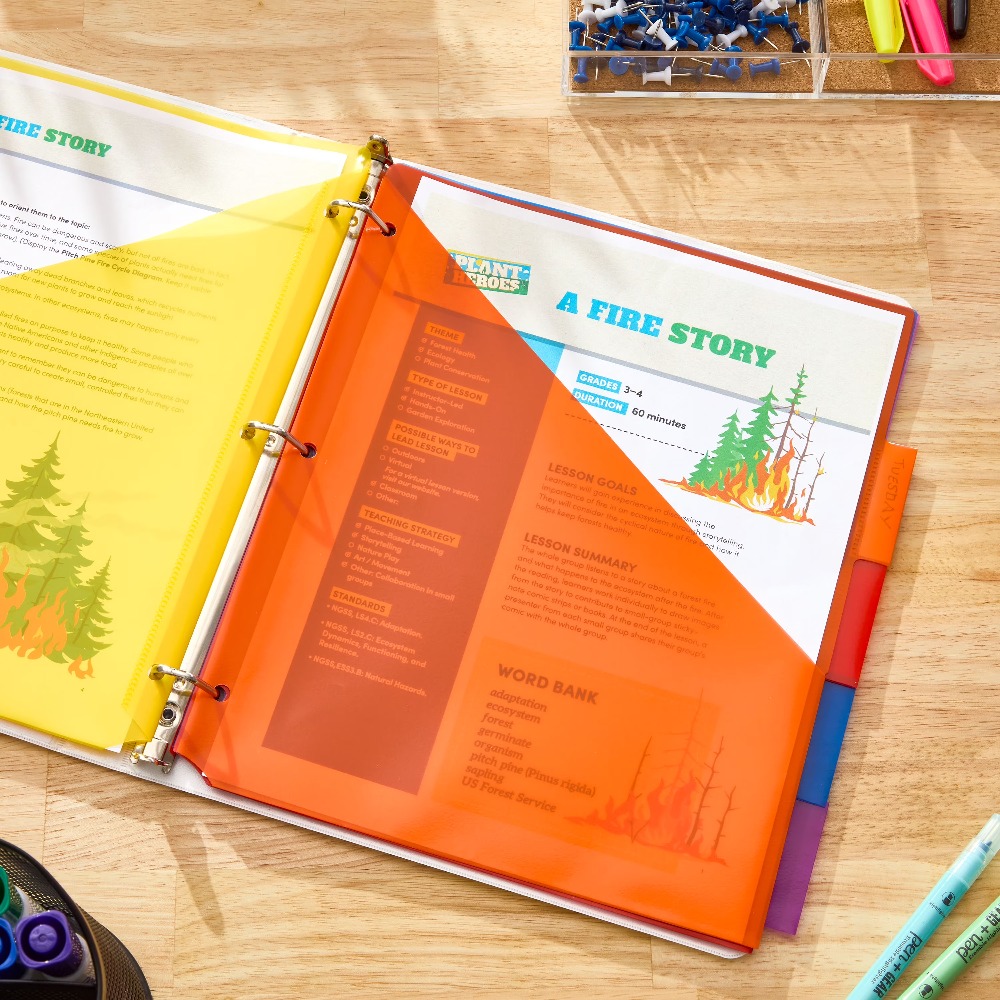 Vibrant Color Index Tab Divide - مراجعة Tab Divider A4 وسعره