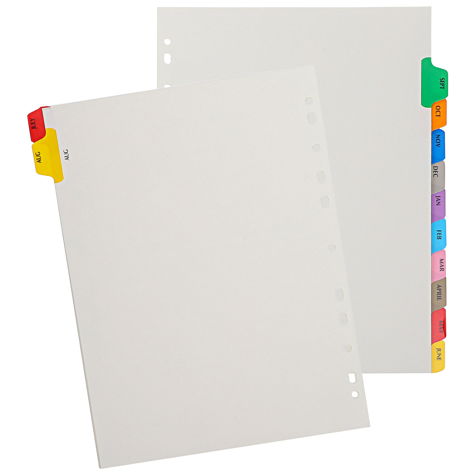 12 Sheets Thick Detachable Bin - مراجعة Tab Divider A4 وسعره