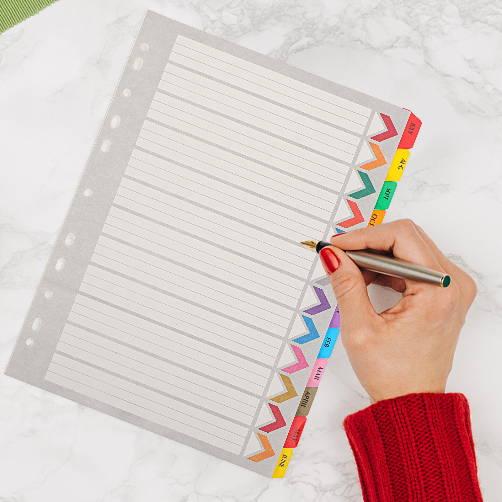 12 Sheets Thick Detachable Bin - مراجعة Tab Divider A4 وسعره