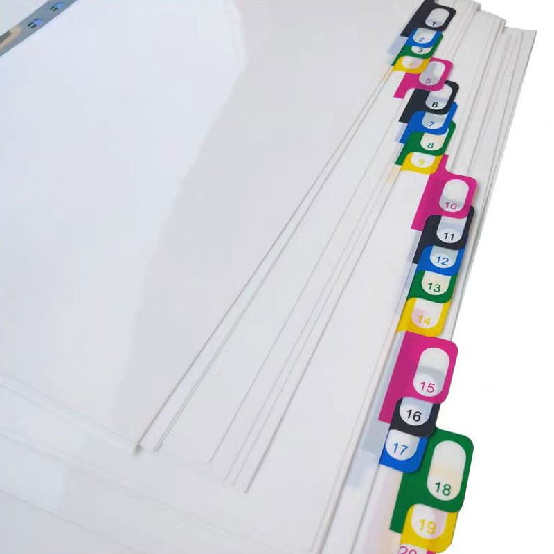 5/10/20Sheets/Lot A4 Divider I - مراجعة Tab Divider A4 وسعره