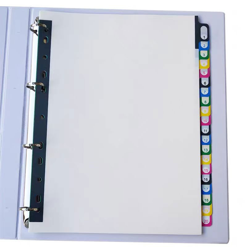 5/10/20Sheets/Lot A4 Divider I - مراجعة Tab Divider A4 وسعره